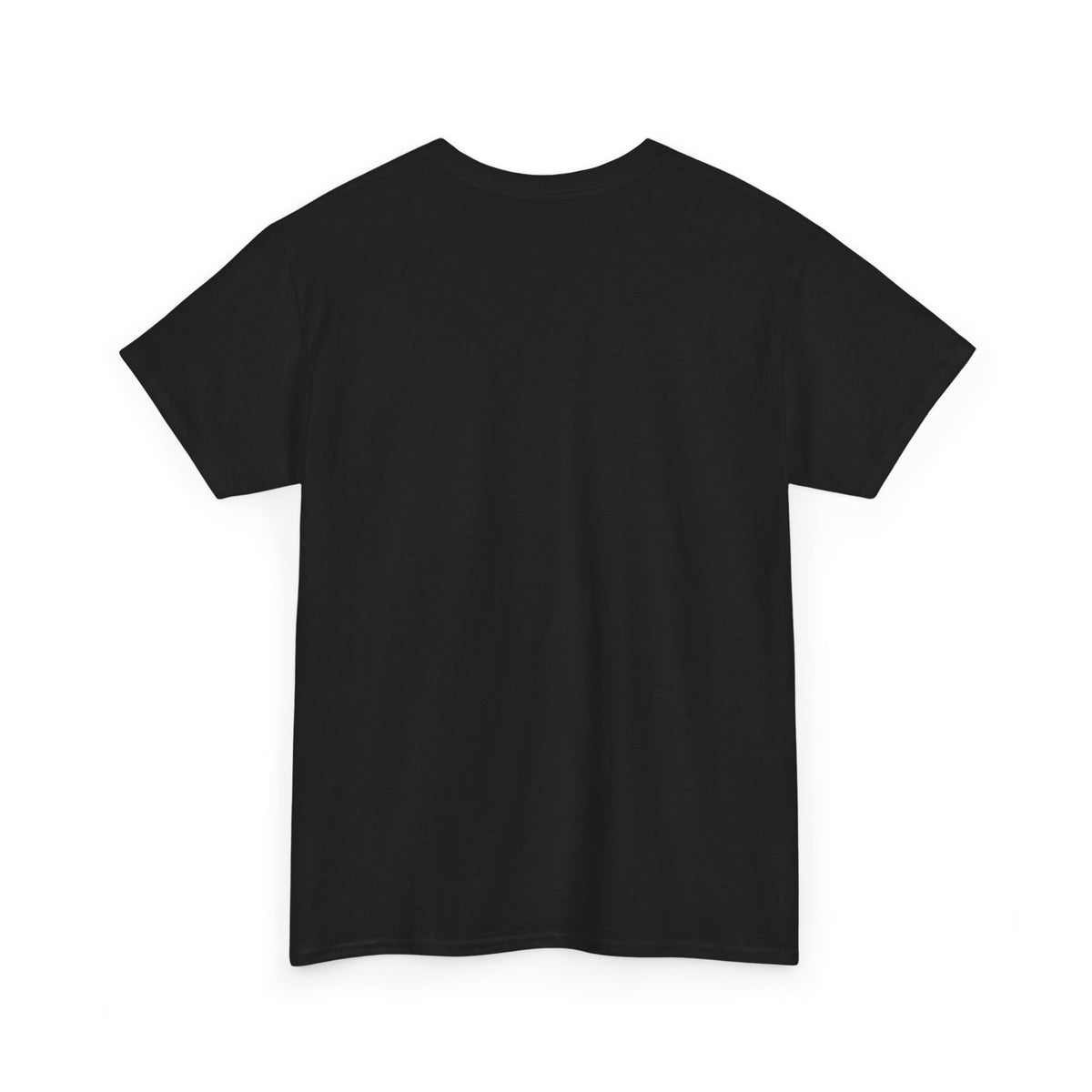 Turbo and Go!!! Backyard Shenanigans T Shirt